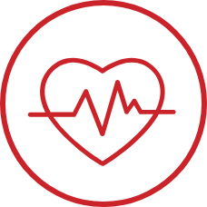 Promotes Heart, Blood Vessel & Circulatory Health Icon