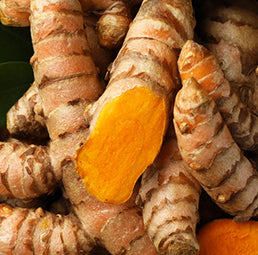 Turmeric<br>(Capsule Only) Icon